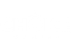 PLAYACE logo — official ASIA200 premium virtual casino tables vendor